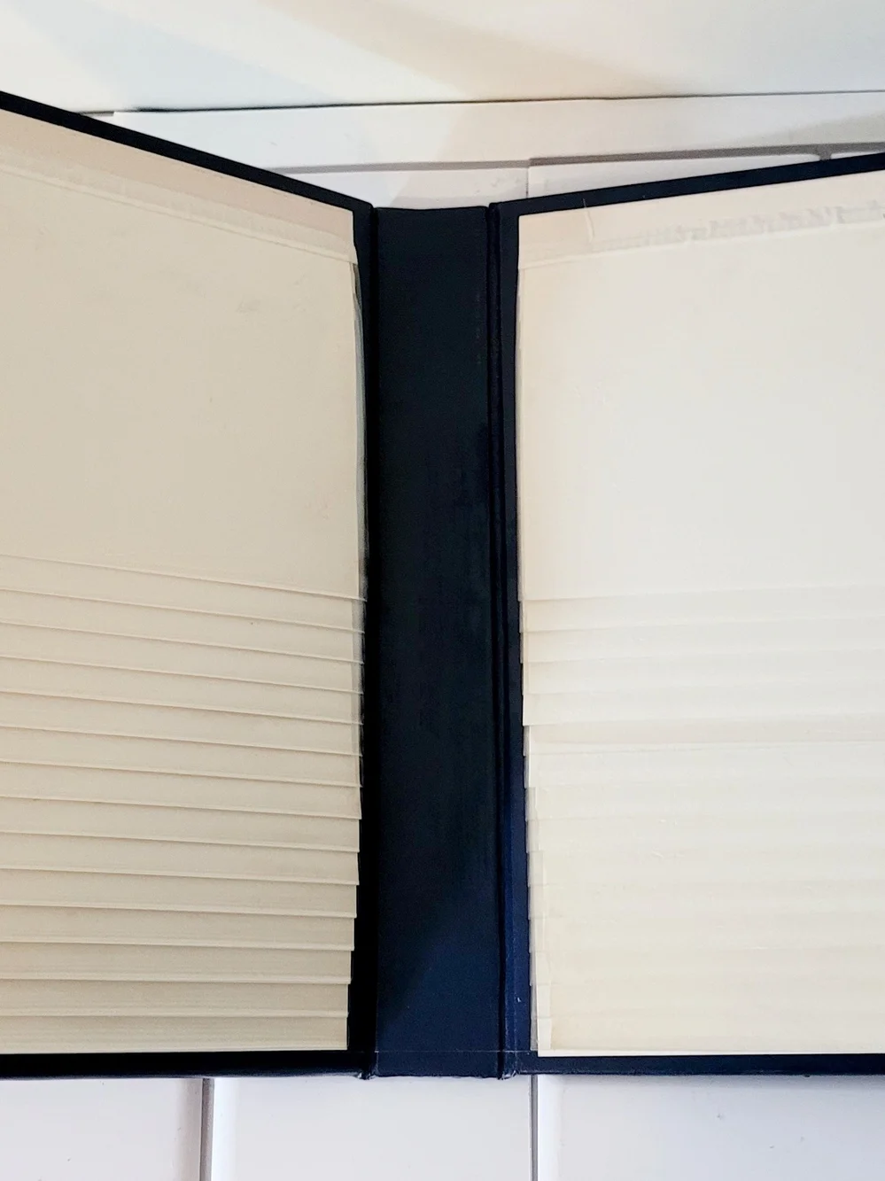 Source Unknown Navy Blue Photo Album with Gold Decorative Trim